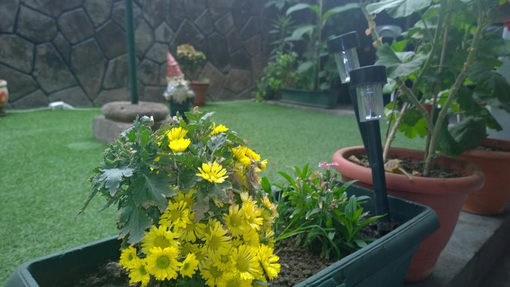 Bed & Breakfast Blumen Haus Santiago de Chile Exterior foto